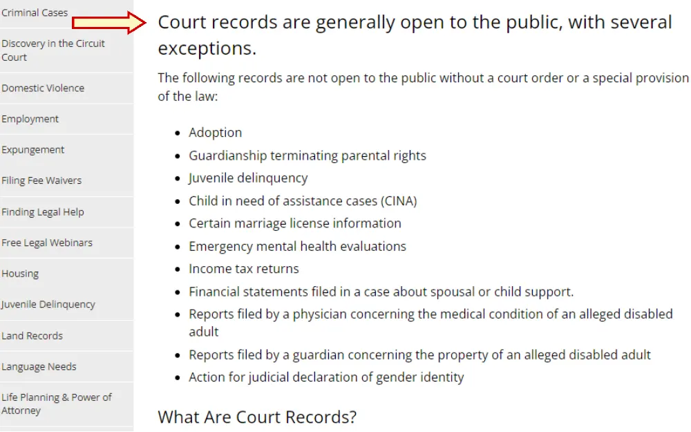 A list of what the government records can the public access and showing some exceptions that needs court order such as adoption, guardianship terminating parental rights, juvenile delinquency, etc.