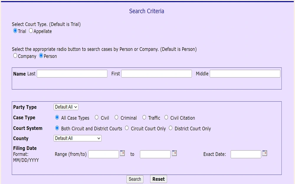 An online search form interface for querying a variety of court cases by specifying details such as court type, party type, case type, court system, and filing dates to facilitate targeted searches within a judicial system.