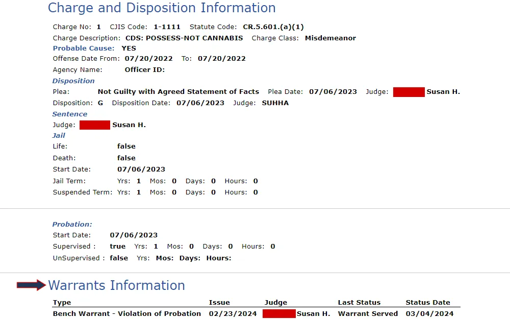A screenshot of an offender's charge and disposition information, including charge number, statute code, description, probable cause, offense date range, agency name, disposition, plea, sentence, jail details, probation details; and warrant information, including the type, date of issuance, judge, status, and status date.